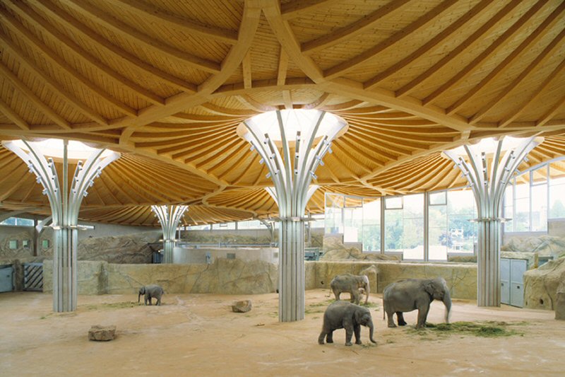 Elefanten im Elefantenhaus Köln